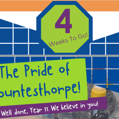 Year 11 GCSE Newsletter