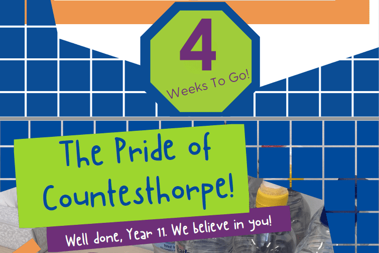 Year 11 GCSE Newsletter