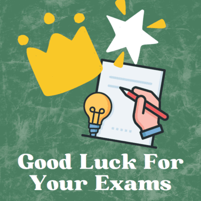Final Issue of Year 11 Newsletter